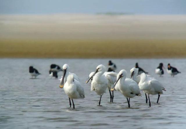 Camping Wad Noch Meer Anna Paulowna Ngoại thất bức ảnh